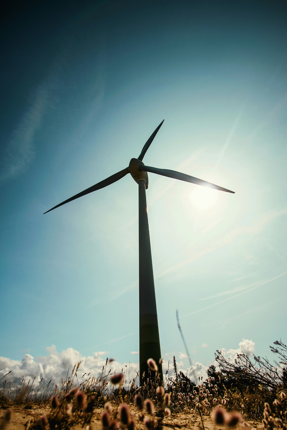 Wind turbine on grass land